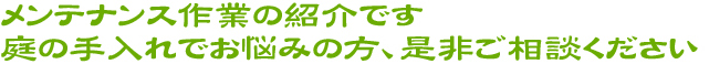 メンテナンス作業の紹介です。庭の手入れでお悩みの方、是非ご相談ください。