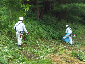 除草工事