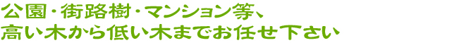 公園、街路樹・マンション等、高い木から低い木までお任せ下さい