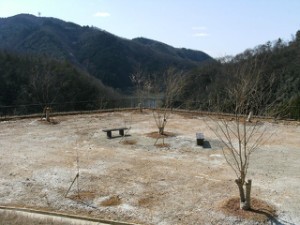 planting_img002