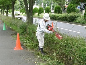 兵庫県 街路樹管理作業