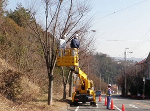 川西市　街路樹管理工事