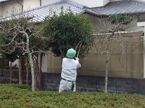 川西市　街路樹管理工事