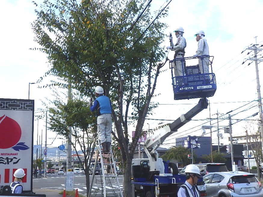 当社の求人募集について